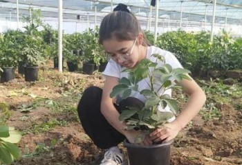Необычные виды цветов выращивает школьница из Туркестанской области