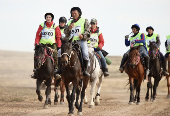 Адай жылқысын асыл тұқым ретінде тану: халықаралық сарапшылар ресми мәртебе беру қажеттілігіне көз жеткізді