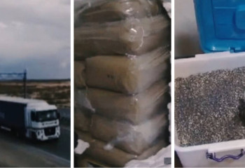 ІІМ арнайы операциясы: 104 тоннадан астам көкнәр сабаны тәркіленді