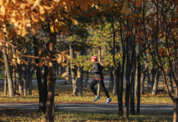 Increase in air pollution predicted in Astana and Almaty