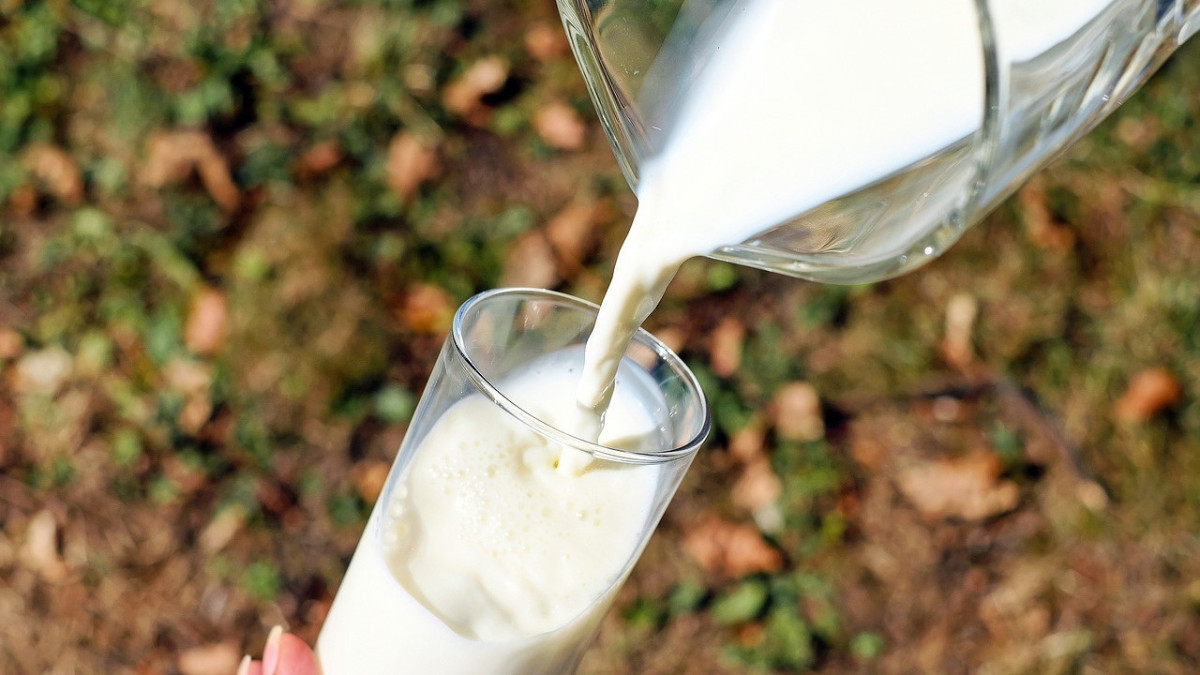 Бизнесмен запустил новую молочную ферму в СКО, готовую выпускать 3,2 тысячи тонн молока в год