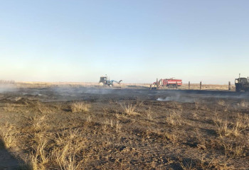 Абай облысында сіріңкемен ойнаған балалар 82 тонна шөпті өртеп жіберді