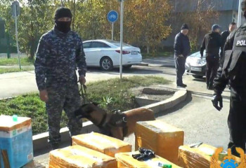 Жамбыл облысының екі тұрғынынан 151 келі гашиш тәркіленді