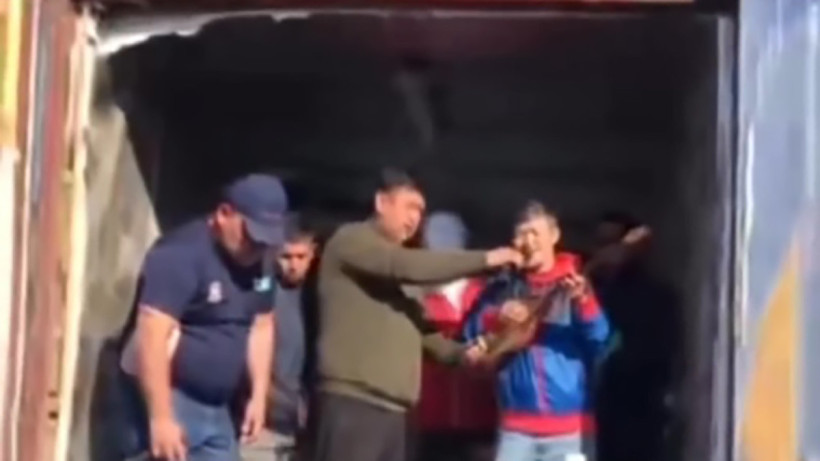  Видеодан кадр 