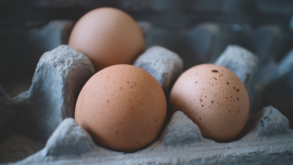 Почему в Казахстане дорожают яйца - в Правительстве провели анализ
