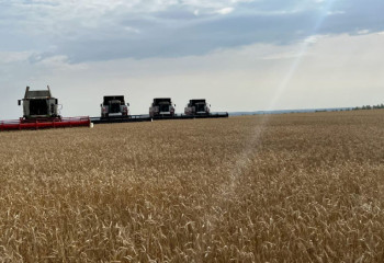 Ждать ли казахстанцам дефицита муки, макарон и хлеба этой зимой, рассказал министр сельского хозяйства