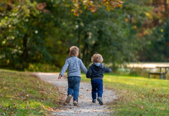 Балалардың құқықтарын қорғау комитеті қандай жұмыс атқарып жатыр?