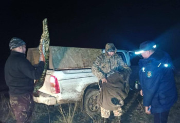 БҚО-да браконьерлер ұсталды