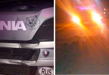 Пешеход погиб в результате ДТП на трассе в Павлодарской области