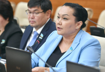 «Материнский капитал» для казахстанок предложила ввести депутат Мажилиса