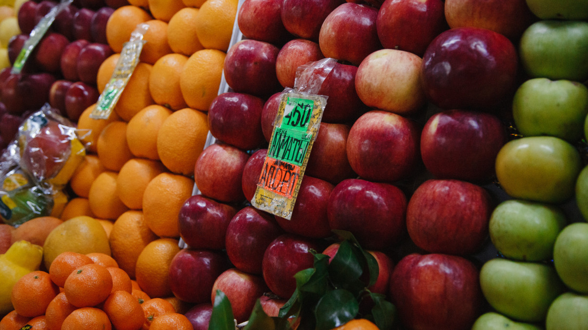  ©El.kz/Жалгасбек ТОКТАМЫСОВ 