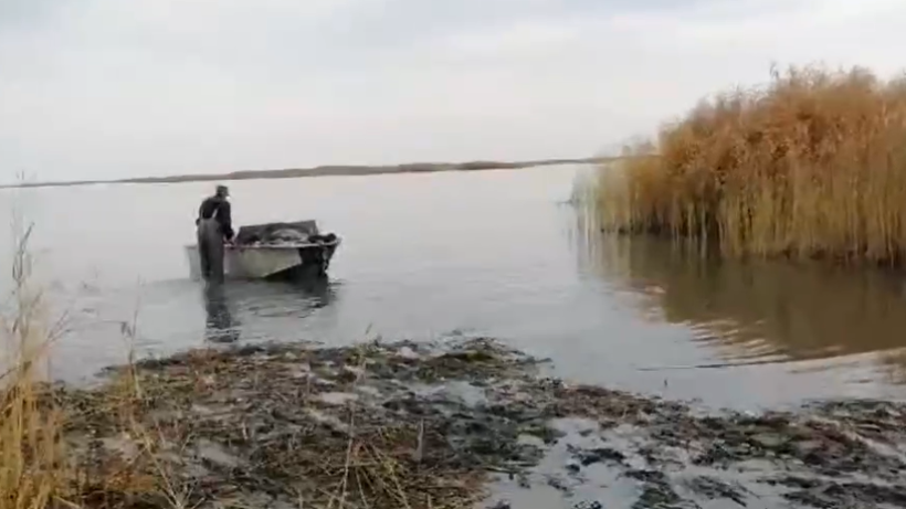  Видеодан кадр 