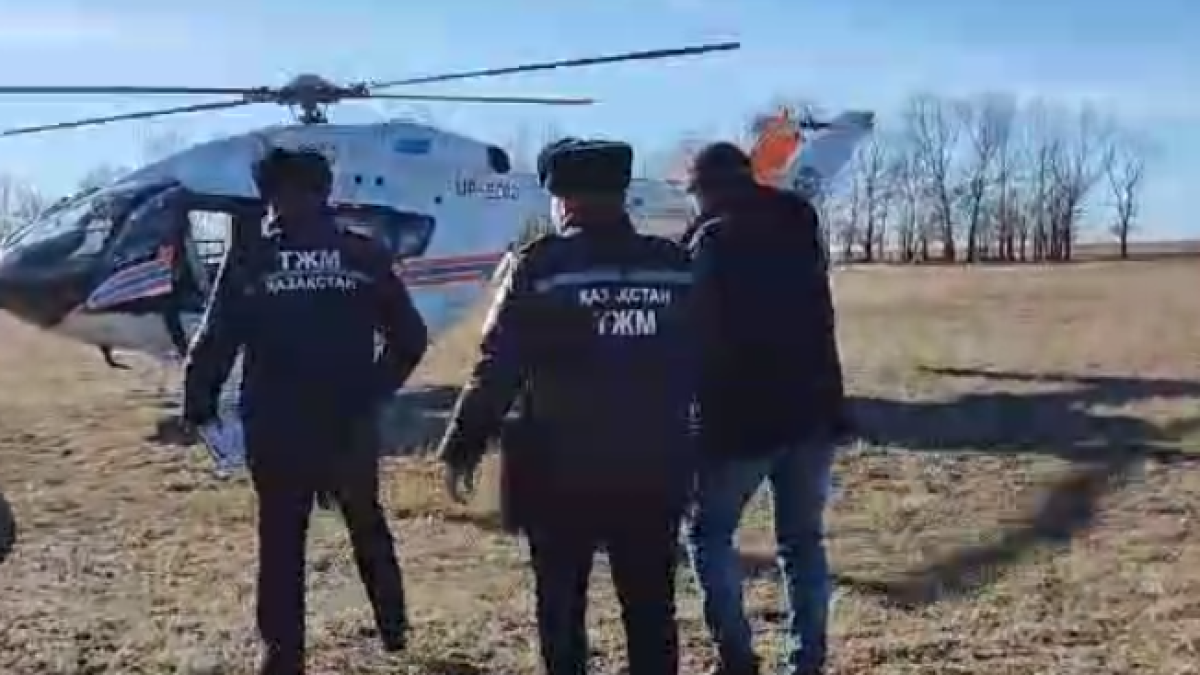  Видеодан кадр 