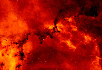 Стала известна причина пожара в Семей орманы, из-за которого погибли 14 человек