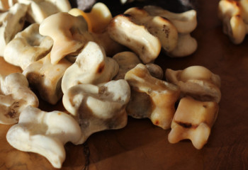 Национальный челлендж: миллион детей по всему Казахстану одновременно сыграют в асыки