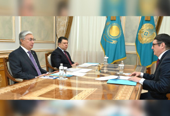 Kazakh Head of State received Minister of Energy