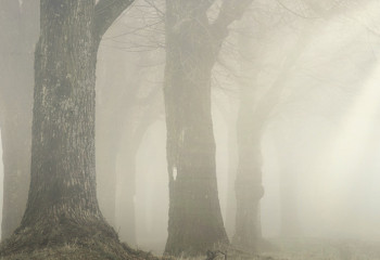 Бейсенбіде күн райына байланысты бірнеше өңірде ескерту жарияланды