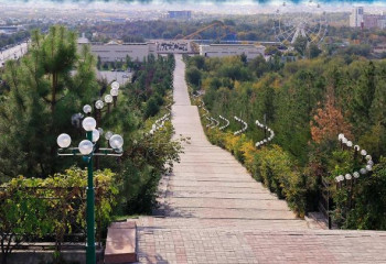 Шымкентте мыңнан астам адамға «қандас» мәртебесі берілді