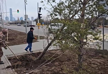 После сильного ветра коммунальщики ведут восстановительные работы в Астане