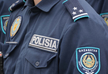 В смерти найденной 7-летней девочки подозревается мать - МВД РК