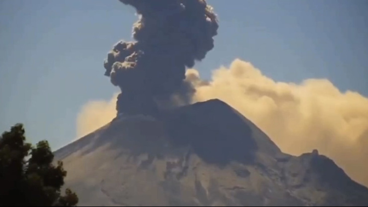  Видеодан алынған кадр 