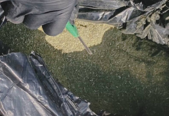 Больше 160 наркопреступников задержали в ноябре в РК