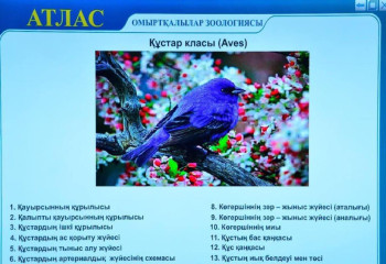 В Abai University разработан интерактивный атлас по зоологии позвоночных