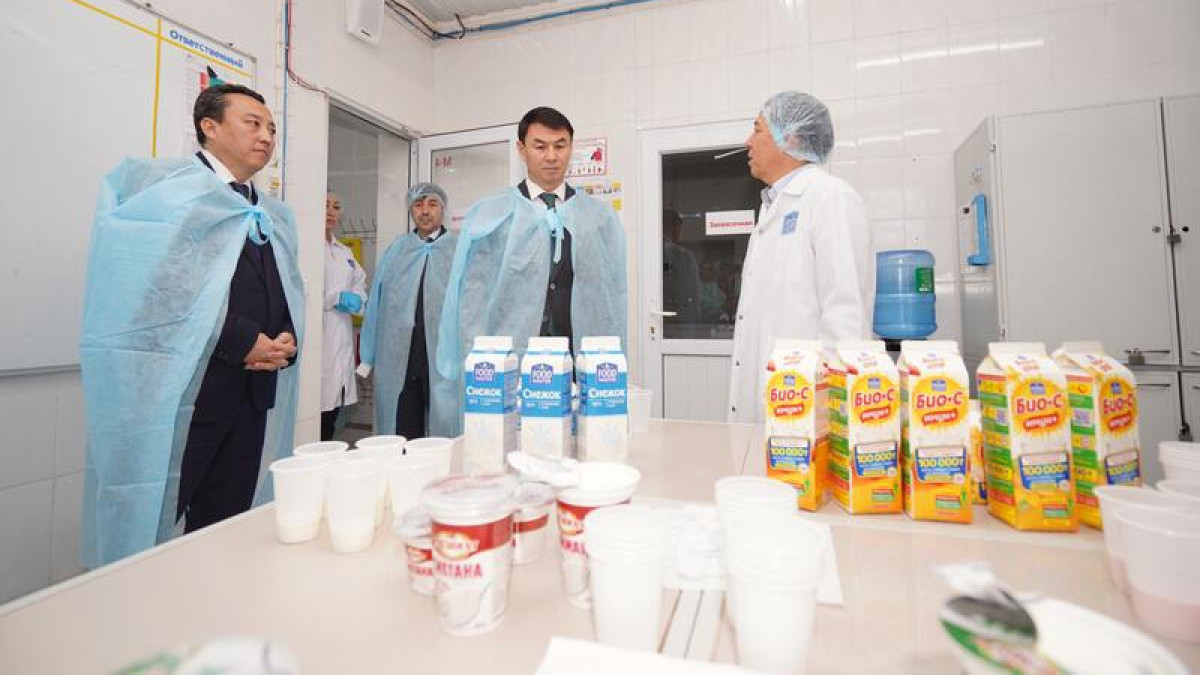 По новым технологиям производят молочную продукцию в Туркестанской области