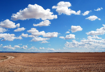 8 млн гектар пайдаланылмай жатқан жер мемлекетке қайтарылды