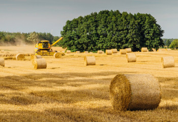 Всё идёт по плану: как развивается агропромышленный комплекс в Казахстане