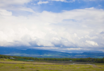 Батыс Қазақстандағы жер телімдері қытайлық инвесторларға беріле ме?