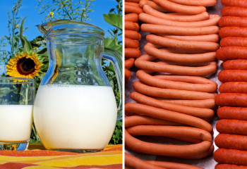 Қостанай облысында сүт пен шұжық өндіріс ұлғайтылды