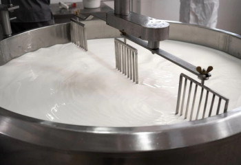 Қостанай облысында жеті сүт фермасы салынып жатыр