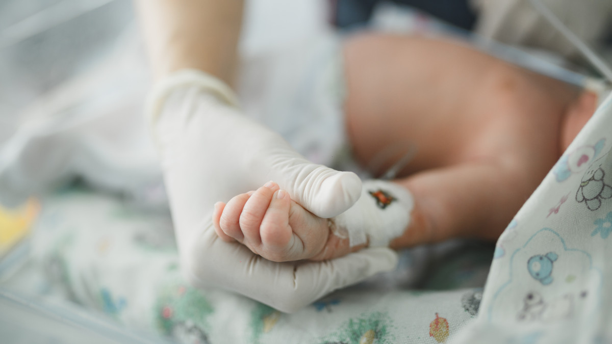  ©El.kz/Марат АМИРОВ 