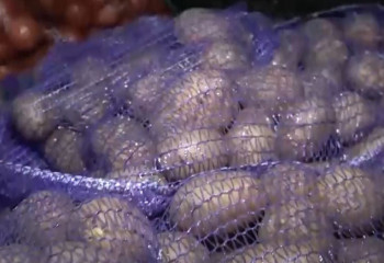 17 новых овощехранилищ построят в Западно-Казахстанской области