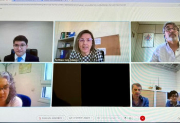 Embassy of Kazakhstan in Spain organized online meeting with social services for protection of children's rights and international adoption