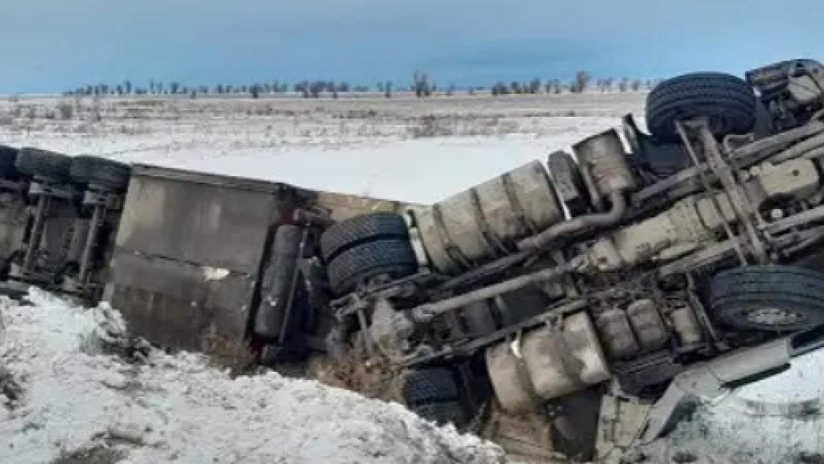 Ақмолада 20 тонна жұмыртқа тиелген фура аударылып қалды