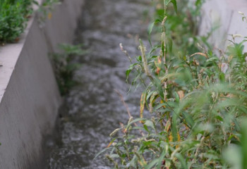 Проблему постоянного подтопления устранили в районе Алматы