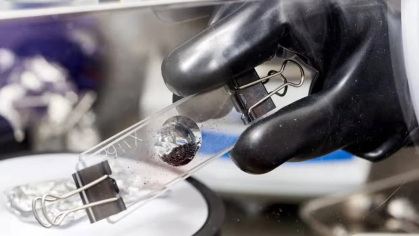  Фото Музея естественной истории в Лондоне 