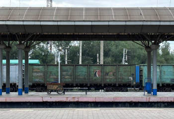 Что Казахстан экспортирует в Узбекистан, выяснили аналитики