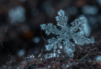 В семи городах Казахстана снизится качество воздуха
