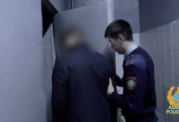 Алматыда егілген 460 көшетті жойған күдіктілер қолға түсті