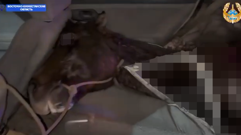  Видеодан алынған кадр 