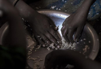 Climate crisis drives more than 27 million children into hunger: Report