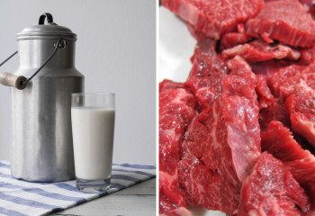 Елімізде сүт өнімдерін өндіру саласы қалай дамып жатыр?