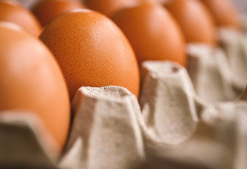 Елімізде жұмыртқа мен құс етінің бағасы тағы қымбаттай ма