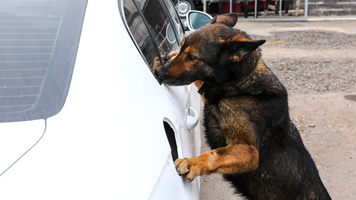  ©El.kz/Бауыржан ЖУАСБАЕВ 