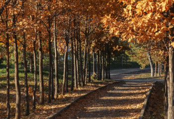 Что случилось с погодой в Казахстане: будет ли снег в декабре, рассказали синоптики