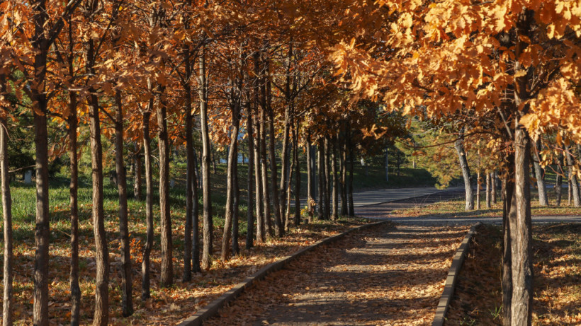 ©El.kz/Бауыржан ЖУАСБАЕВ 