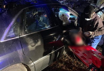 Жетісу облысында жолға шауып шыққан жылқы адам өліміне себепкер болды